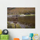 Saco River New Hampshire Wall Mural