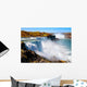 American side of Niagara Falls Wall Mural