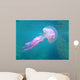 Mediterranean Jellyfish Near Surface Wall Mural