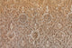 Alhambra Granada Arabic Relief Wall Mural
