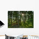 Forest 2 Wall Decal