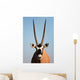 Gemsbok Antelope Wall Mural
