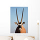 Gemsbok Antelope Wall Mural