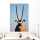 Gemsbok Antelope Wall Mural