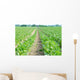 Green Field Wall Decal