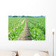 Green Field Wall Decal