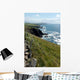 Irish Coastline Wall Decal