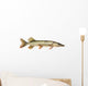 Pike