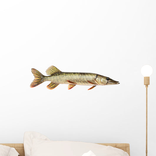 Pike