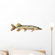Pike
