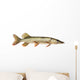 Pike