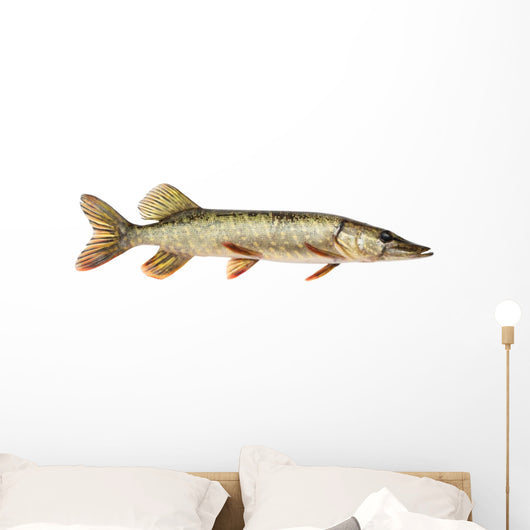 Pike