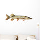 Pike