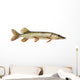 Pike