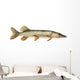 Pike