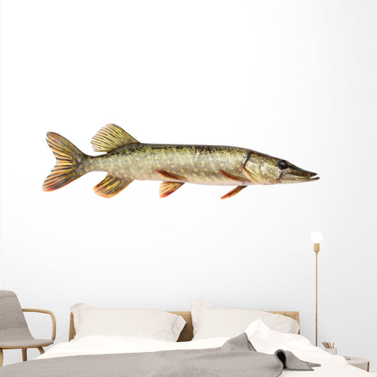 Pike