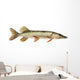 Pike