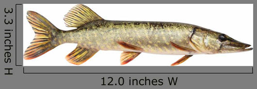 Pike
