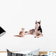 young cat with young dog Husky looking up Wall Decal
