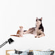 young cat with young dog Husky looking up Wall Decal