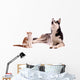 young cat with young dog Husky looking up Wall Decal