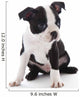 Boston Terrier Wall Decal