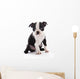 Boston Terrier Wall Decal