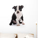 Boston Terrier Wall Decal