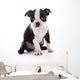 Boston Terrier Wall Decal