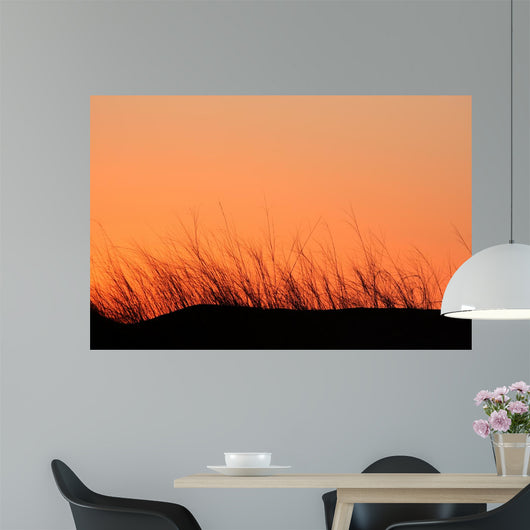 Grass Silhouette Dune Sunset Wall Decal