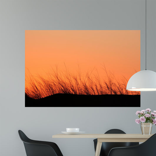 Grass Silhouette Dune Sunset Wall Decal