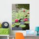 Lily Pond Wall Mural