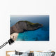 Part Navagio Famous Shipwreck