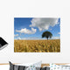 Fields Cereals and Tree Wall Decal