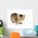 Small Kitten Looks Curious Wall Decal
