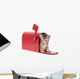 Small Kitten Hides Inside of Red Mailbox Wall Decal