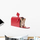 Small Kitten Hides Inside of Red Mailbox Wall Decal