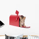 Small Kitten Hides Inside of Red Mailbox Wall Decal
