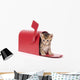 Small Kitten Hides Inside of Red Mailbox Wall Decal