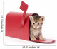 Small Kitten Hides Inside of Red Mailbox Wall Decal