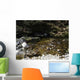 And Angler River Wall Decal