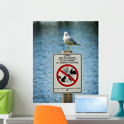 Seagull Perched Atop Wildlife Sign Wall Mural