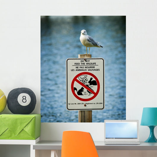 Seagull Perched Atop Wildlife Sign Wall Mural