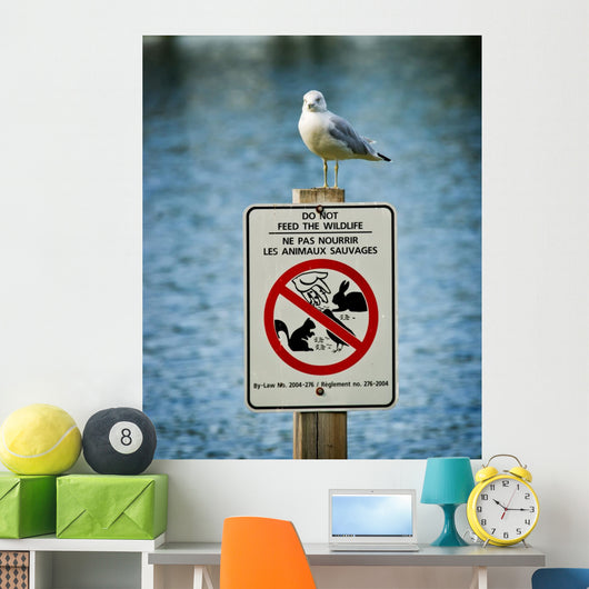 Seagull Perched Atop Wildlife Sign Wall Mural
