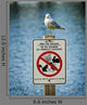 Seagull Perched Atop Wildlife Sign Wall Mural