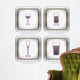 Alcohol glasses Wall Decal