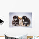 Pomeranian Puppies Wall Mural
