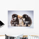 Pomeranian Puppies Wall Mural