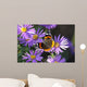 Vanessa Atalanta Wall Decal