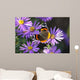 Vanessa Atalanta Wall Decal